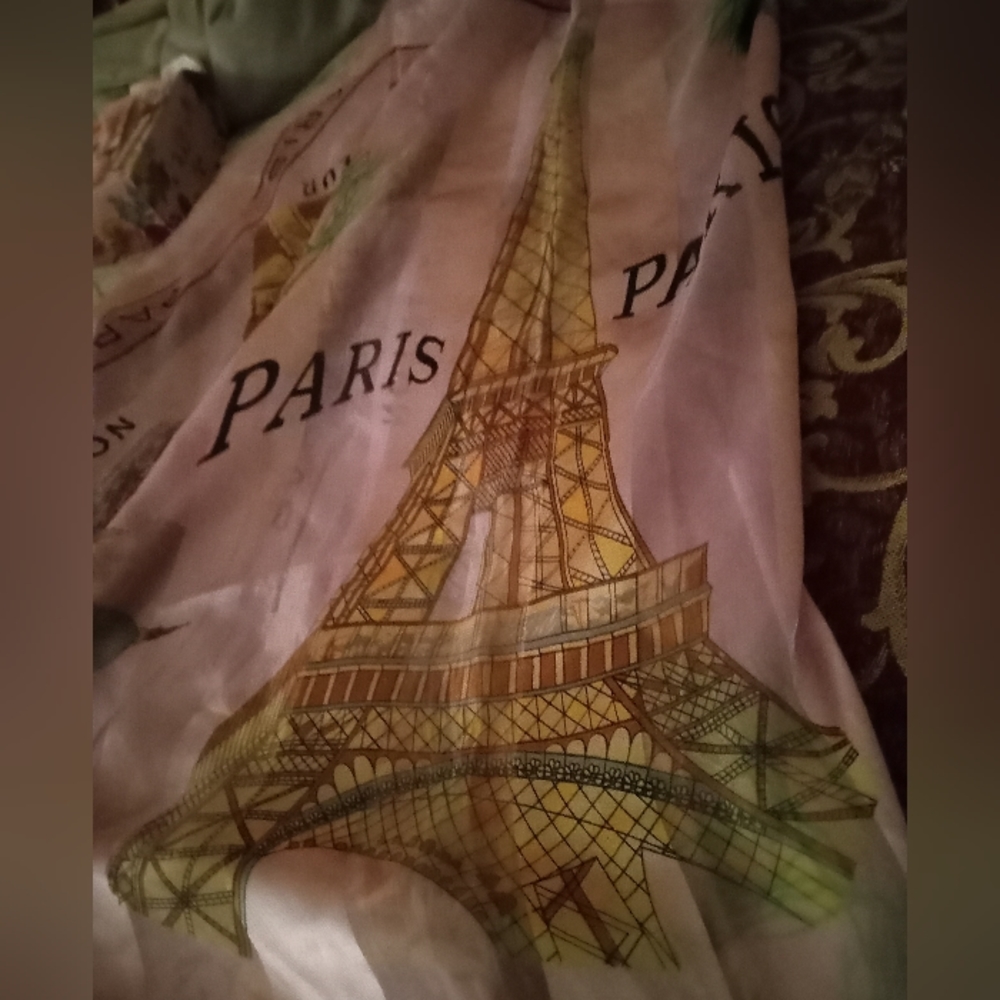 Paris Scarf Paris Graphics - image 3
